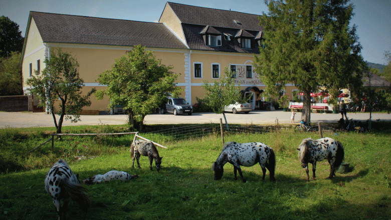 Gasthaus & Ponyhof Holzm&uuml;hle, &copy; Birgit Taxb&ouml;ck