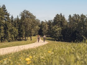 Radfahren im Wienerwald, © Wienerwald Tourismus / Christoph Kerschbaum