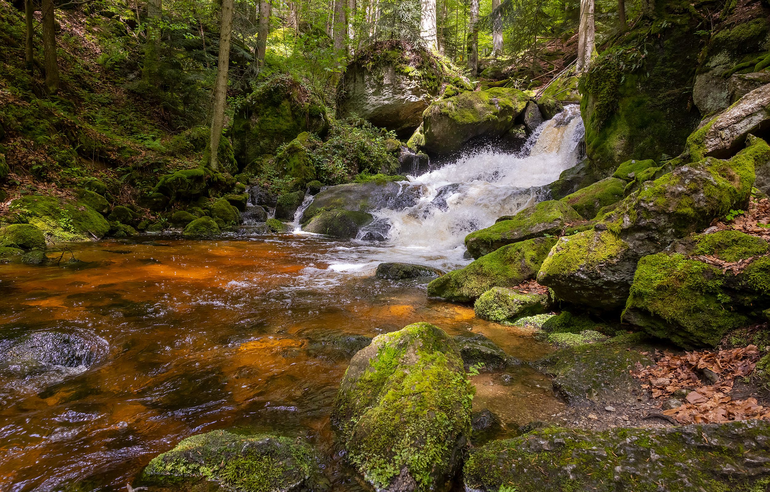 Ein kleiner Wasserfall in einem bewaldeten Gebiet mit moosbedeckten Felsen und klarem Wasser.