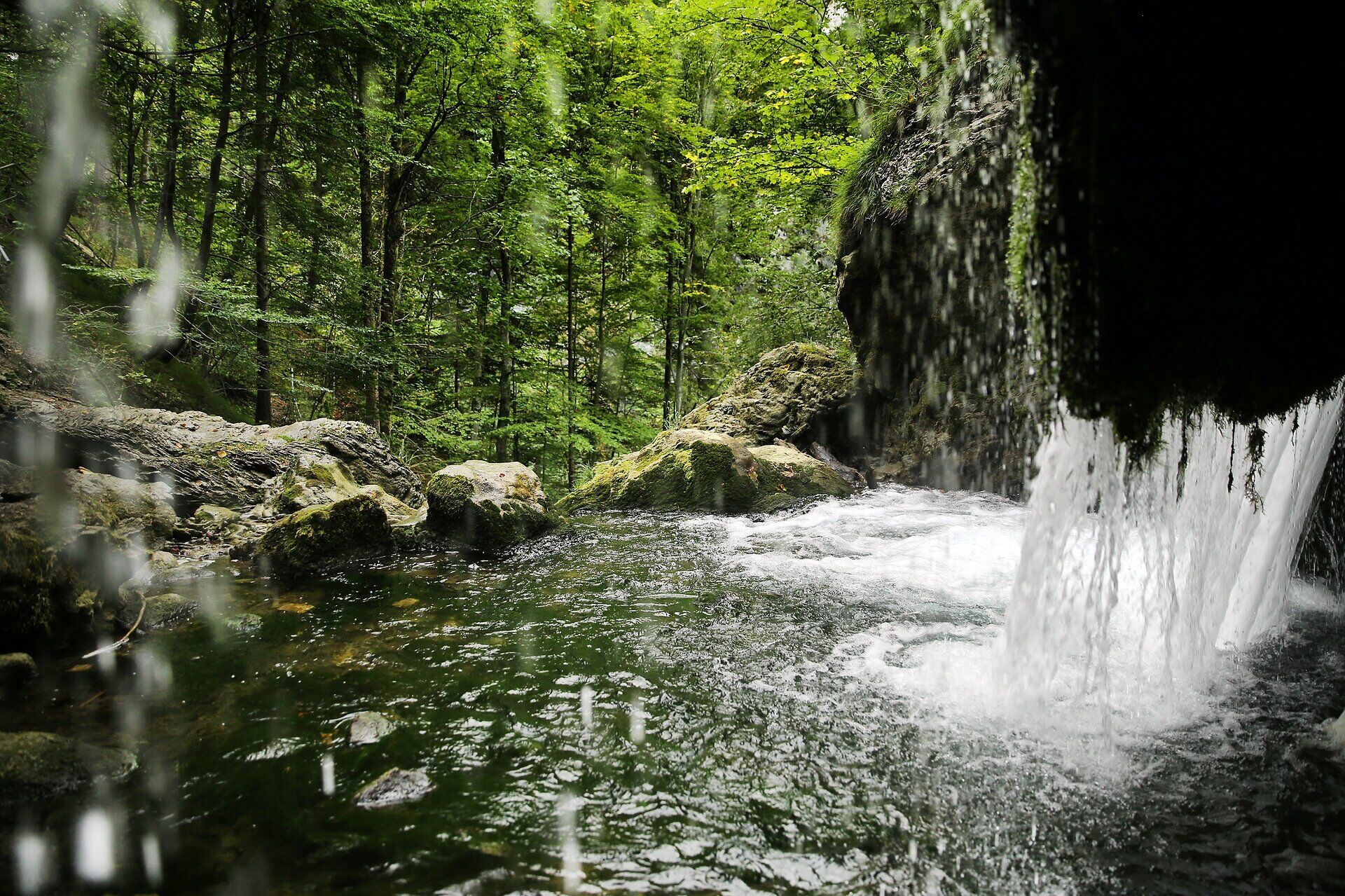 Zwei Kinder sitzen entspannt auf einem großen Stein und genießen die erfrischende Atmosphäre des Naturparks. Umgeben von üppigem Grün und dem sanften Rauschen des Wassers, strahlt die Szene pure Lebensfreude und Abenteuerlust aus.