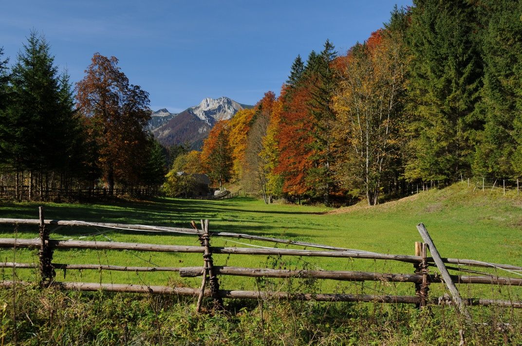 Blick zum Forsthaus