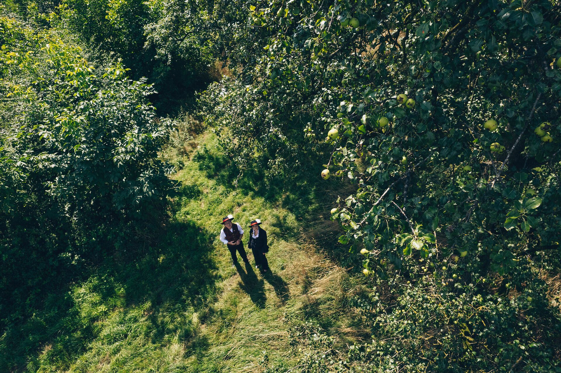 Inmitten der üppigen Natur stehen zwei Wanderer, umgeben von saftigen Birnenbäumen, die in der warmen Sonne leuchten. Die sanften Hügel des Mostviertels laden dazu ein, die frische Luft und die köstlichen Aromen der Region zu genießen. Ein perfekter Ort, um die Seele baumeln zu lassen und die Schönheit der Landschaft zu erleben.