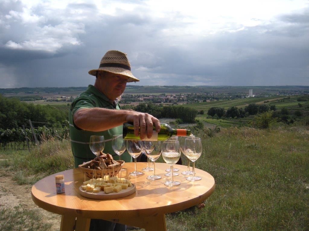 Mann schenkt Wein in Gläser auf einem Tisch im Freien ein, mit Blick auf Weinberge und Dorf im Hintergrund.