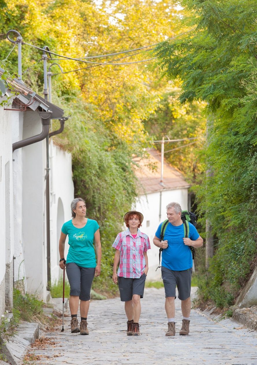 Die Weinviertler Kellergassen durchwandern