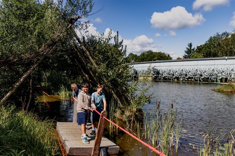 Drei Kinder auf einem Holzsteg an einem Teich mit Pflanzen und Bäumen im Hintergrund.