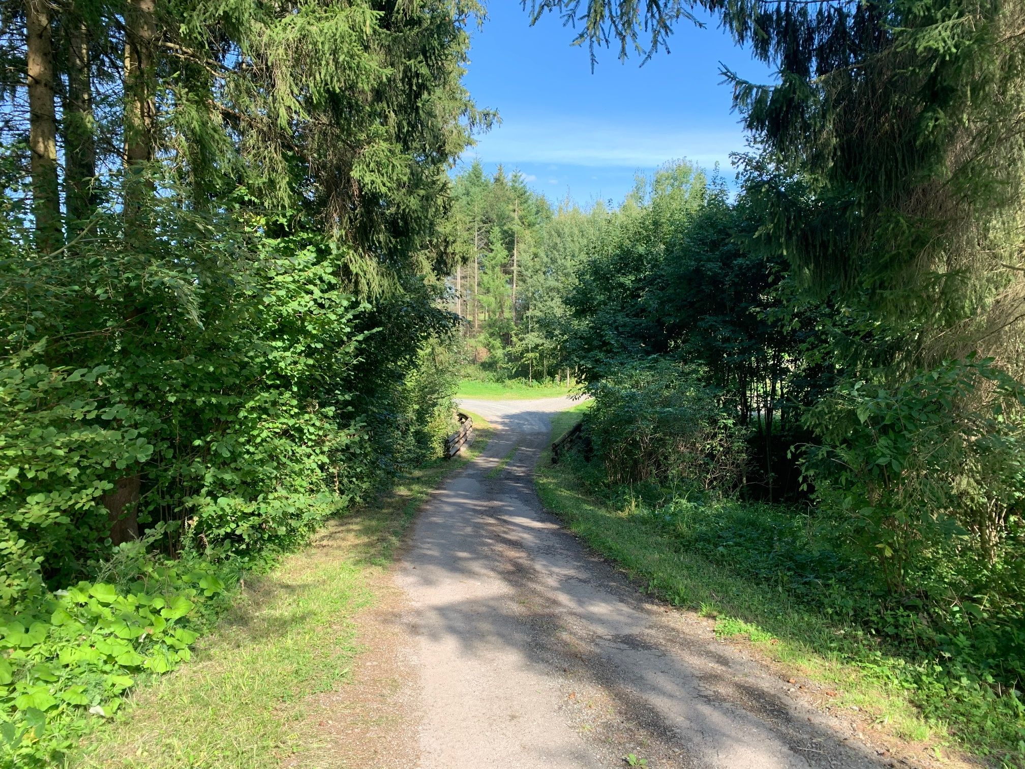 Weg zum Steinbruch