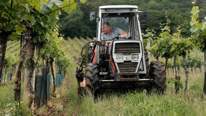 Familie Schachl, &copy; Wienerwald Tourismus/Kerstin Semmelmeyer