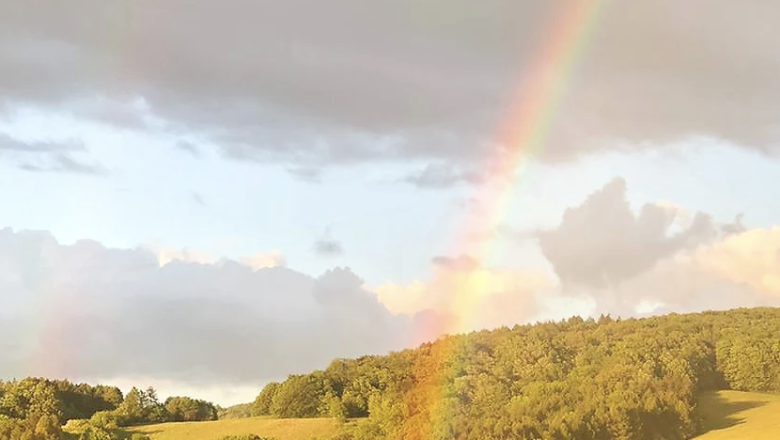 Vienna Woods landscape with sunlight