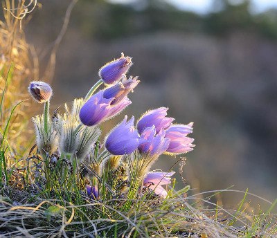 preview_wag_generationenspielplatz_cjosefstefan_ab068e308f, &copy; josefstefan