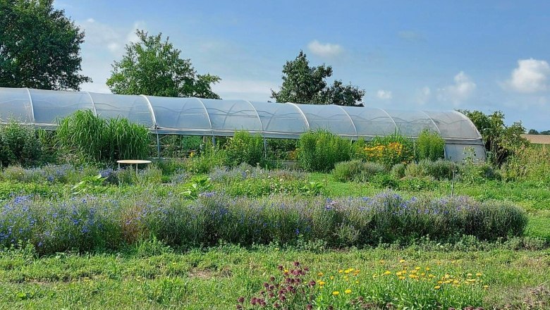 Ein bl&uuml;hender Kr&auml;utergarten mit einem Gew&auml;chshaus im Hintergrund unter blauem Himmel.