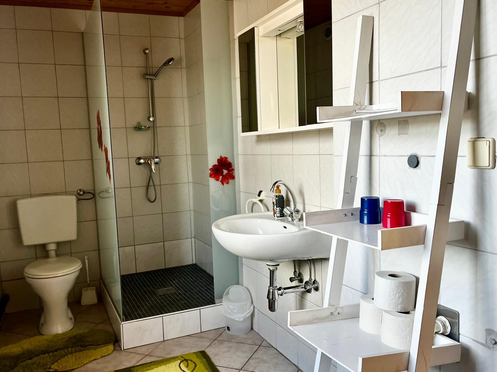 Modernes Badezimmer mit Dusche, Waschbecken, WC und Regal mit Toilettenpapier und Bechern.