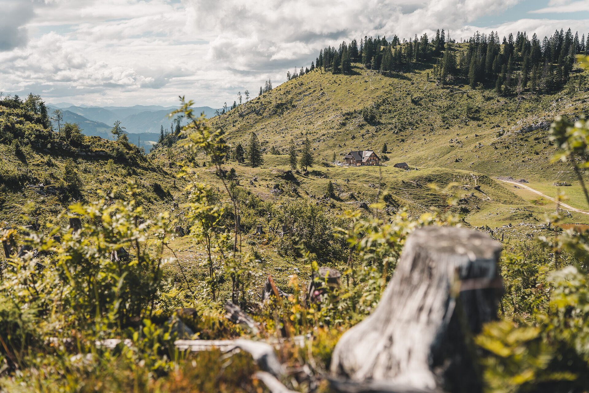 Almlandschaft rund um die Ybbstalerhütte im Mostviertel.