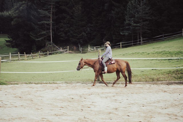 Pferdeland, © Eichbergers