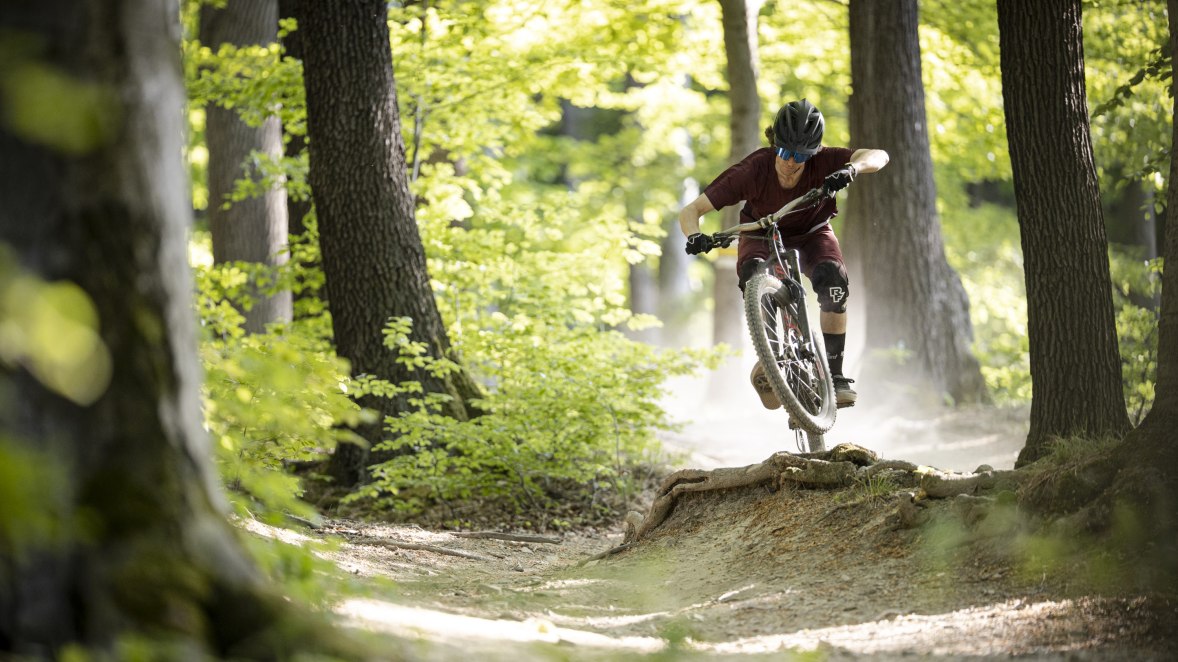 Mountainbiken Wienerwald, © Martin Fülöp