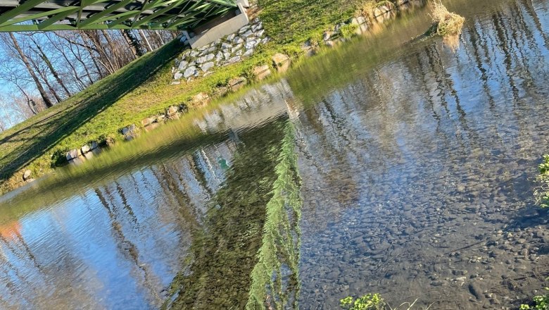 Rastplatz St.Andr&auml;er Steg, &copy; Elisabeth Herzog-Fitzke