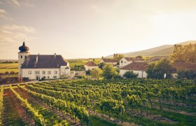 – hier trifft man überall auf Geschichte, Genuss und Weinkultur. Freigut Thallern., © Andreas Hofer