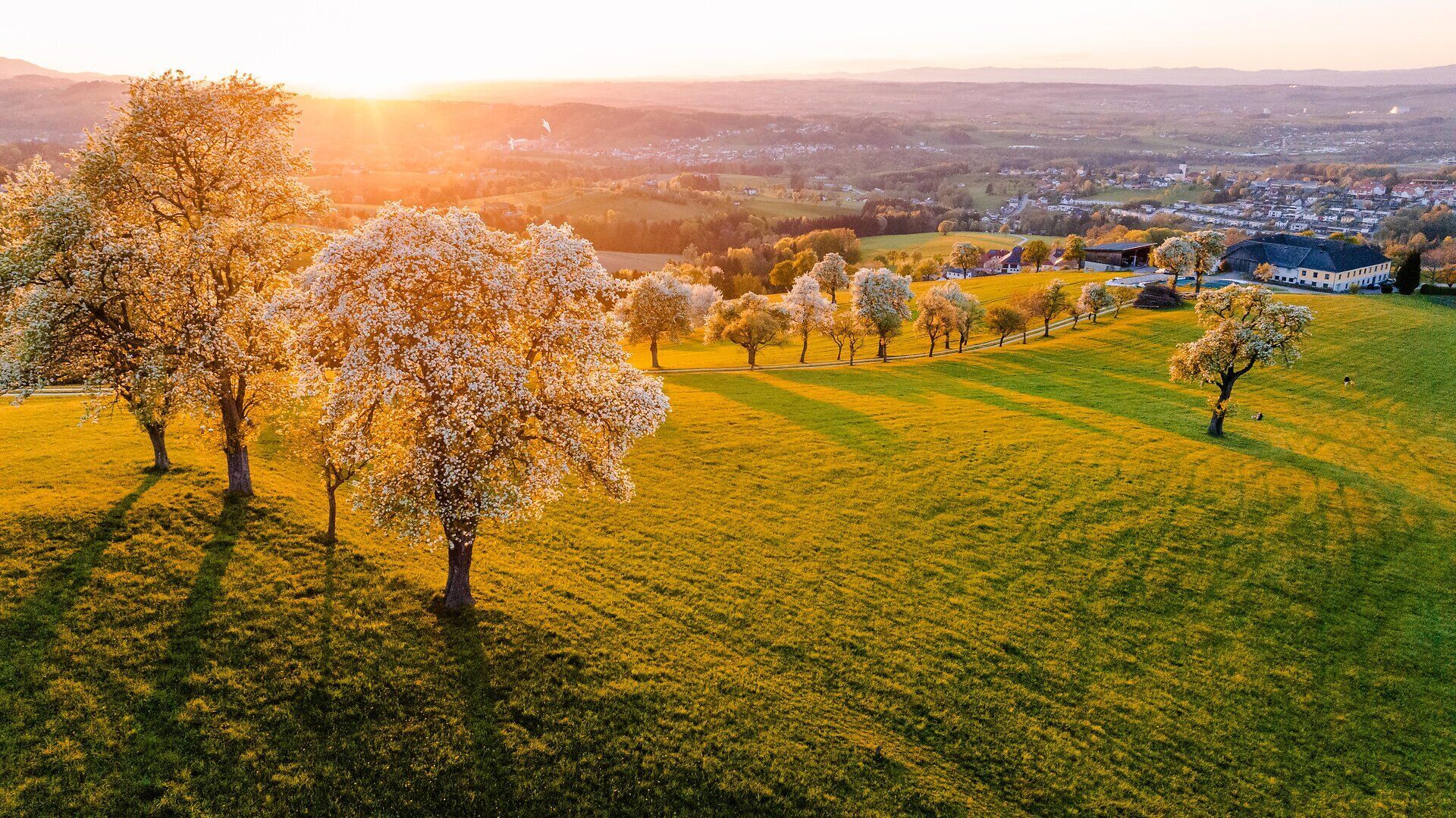 Die Birnbäume blühen in voller Pracht und verwandeln die Landschaft in ein zauberhaftes Blütenmeer. Sanfte Sonnenstrahlen tauchen die Umgebung in warmes Licht und laden dazu ein, die frische Frühlingsluft zu genießen. Ein perfekter Ort, um die Schönheit der Natur zu erleben und die Seele baumeln zu lassen.