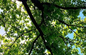 aussenchaletauenblick_c_chaletauenblick, &copy; test