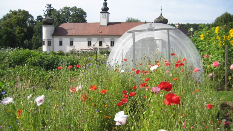 Blumenwiese vor einem historischen Geb&auml;ude mit Zwiebelt&uuml;rmen.