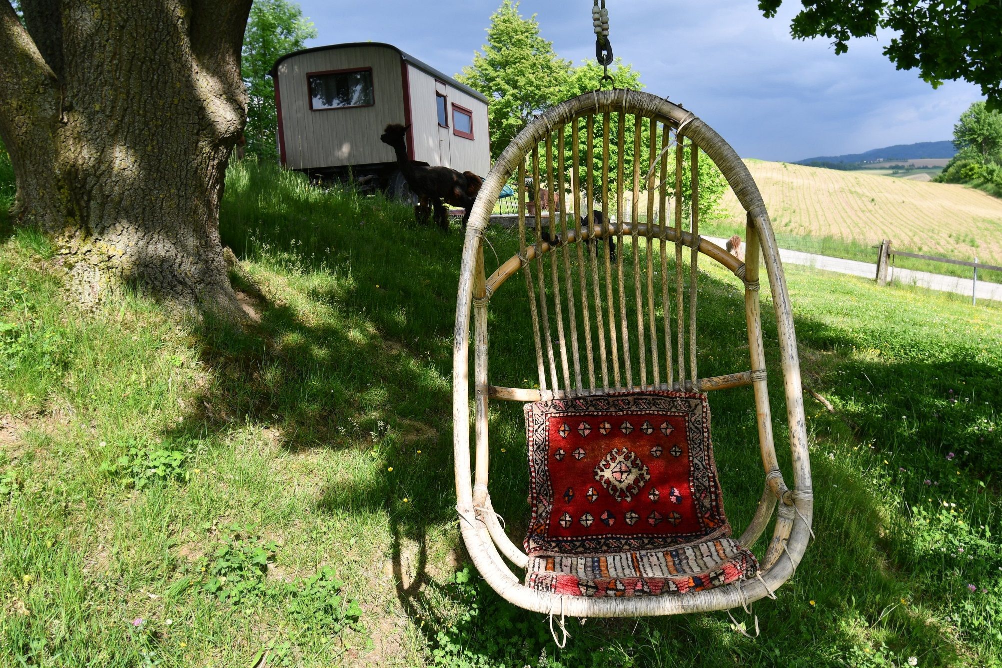 Leopold-der Lamahütewagen