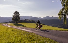 am EuroVelo 9, &copy; Auf der letzten Etappe nach M&ouml;nichkirchen