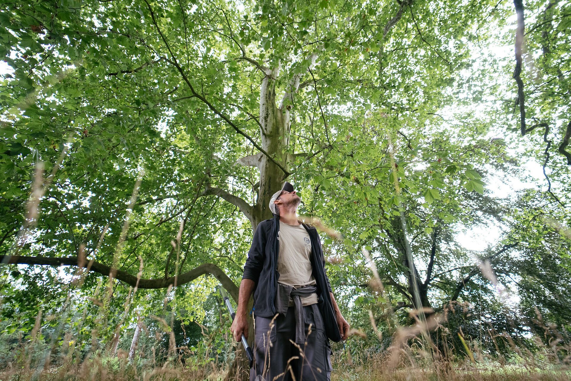 Mann steht in lockerem Outfit mit Händen in den Hosentaschen in einer Wiese vor einem großen Baum