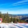 Blick auf eine Skipiste mit Wald und Bergen im Hintergrund unter blauem Himmel.