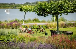 Donaulände Tulln mit Blick auf die Donau, Liegestühle und Radfahrer