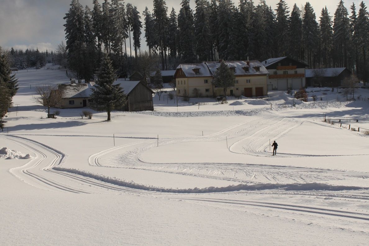 Langlaufen in Bärnkopf - Ortsloipe 1