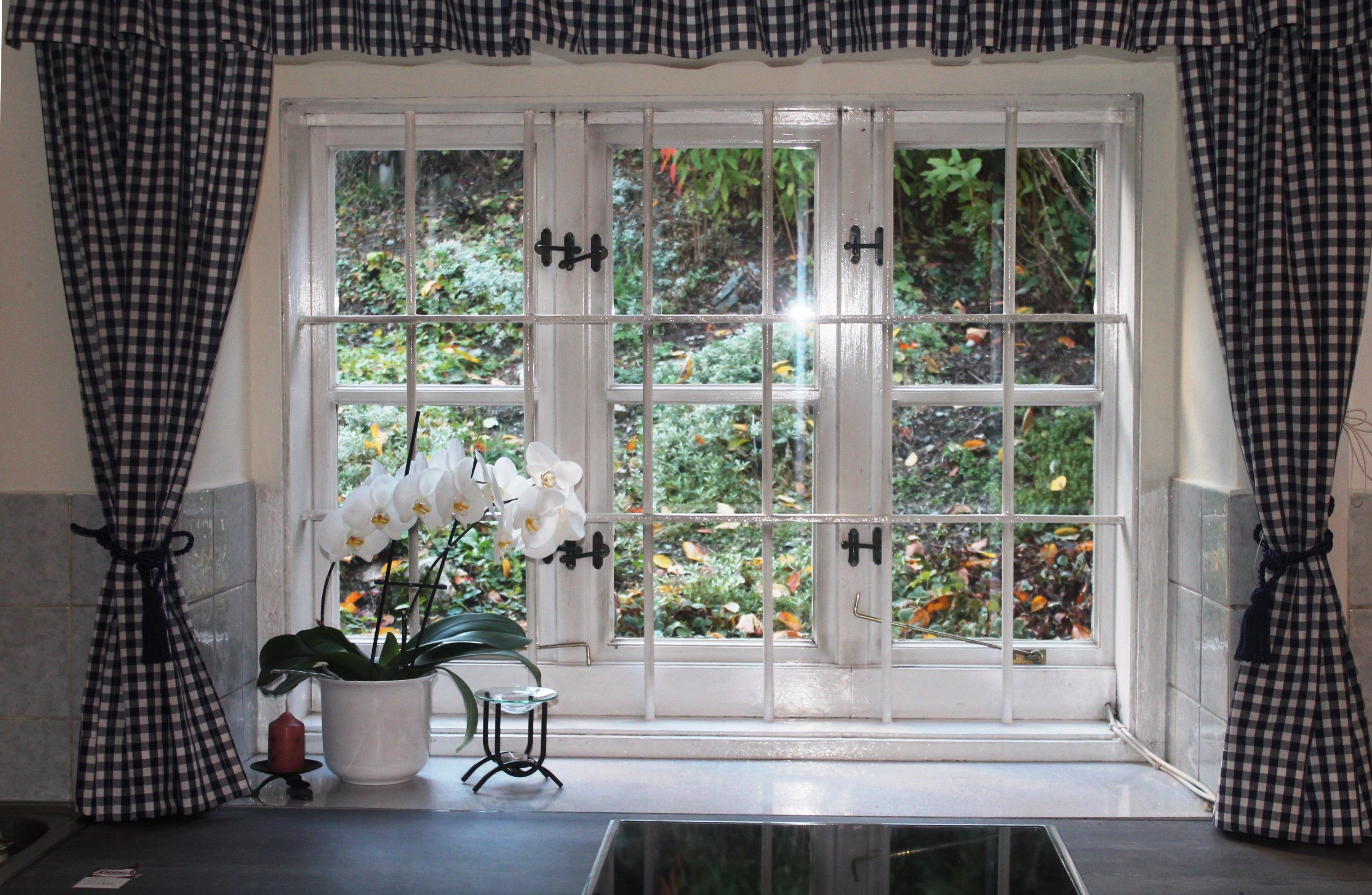 Fenster mit karierten Vorhängen und einer Orchidee auf der Fensterbank.