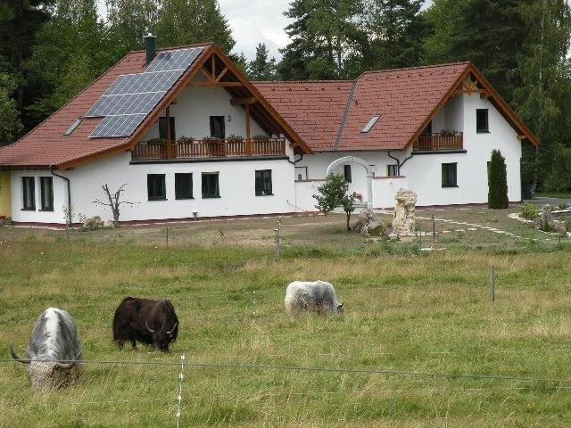 Ein modernes Bauernhaus mit Solarpanelen auf dem Dach, umgeben von einer Wiese mit grasenden Yaks.