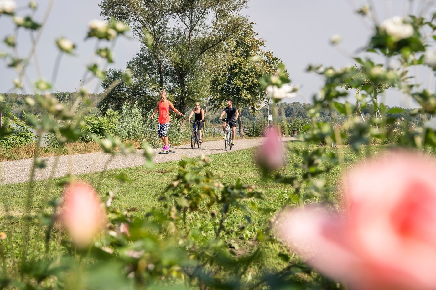 Zwei Radfahrer und eine Person auf einem Skateboard auf einem Weg entlang der Donau, umgeben von blühenden Blumen.