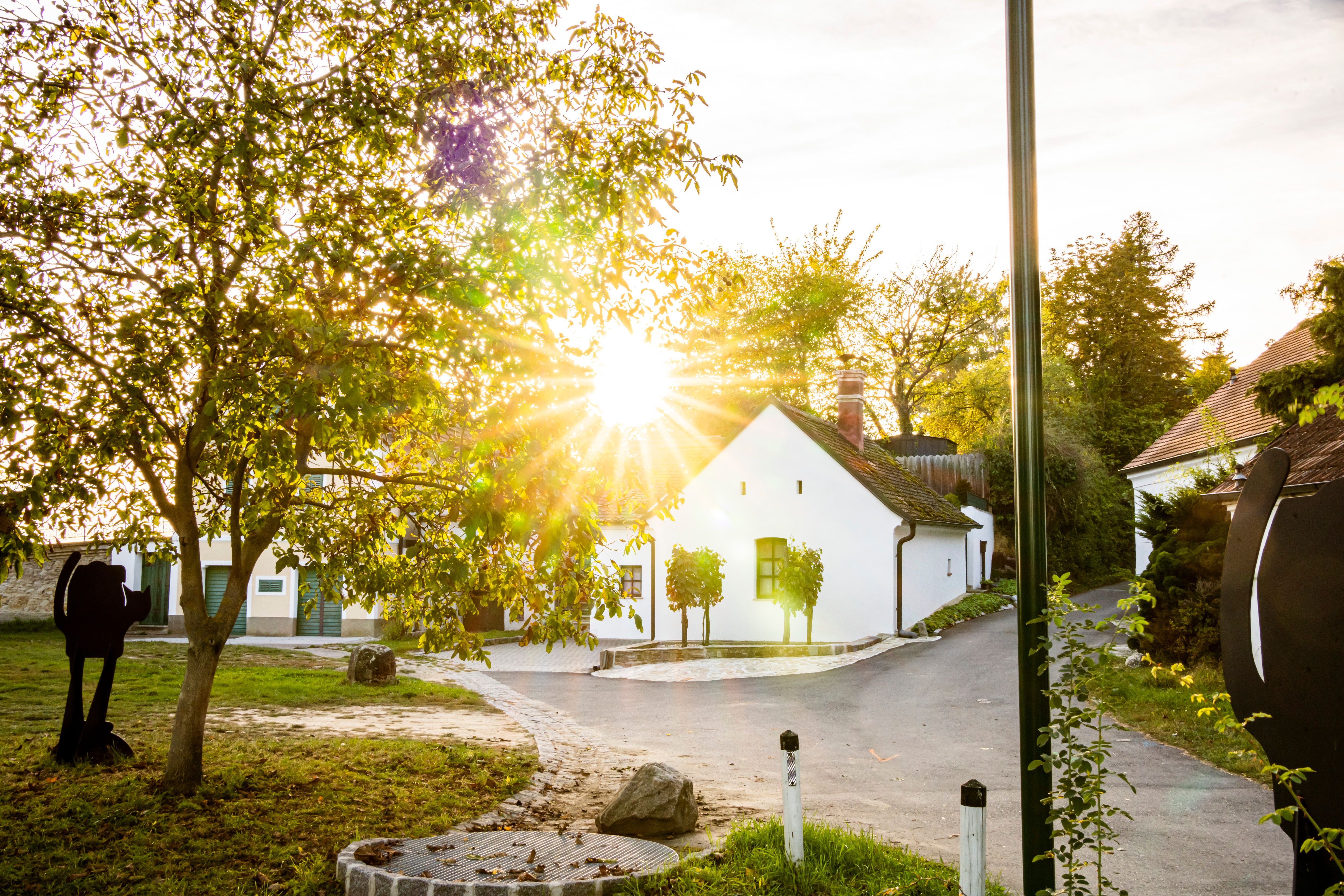 Sonnenstrahlen durch Bäume in der Sitzendorfer Kellergasse.