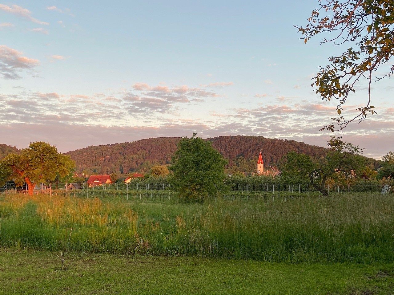 Abendstimmung im Traisental