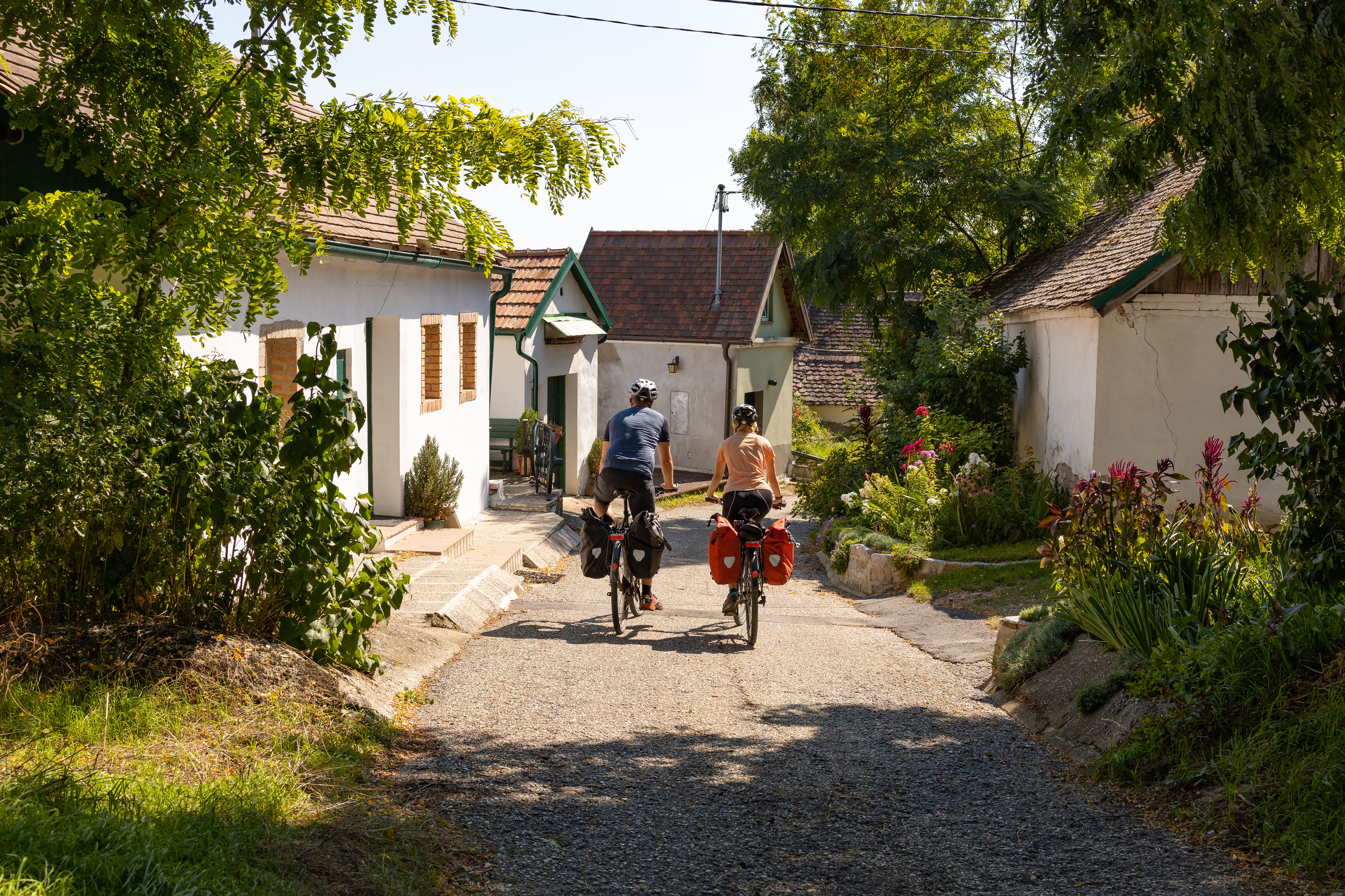 Kellergasse in Hadres mit weißen Häusern und Weinreben.