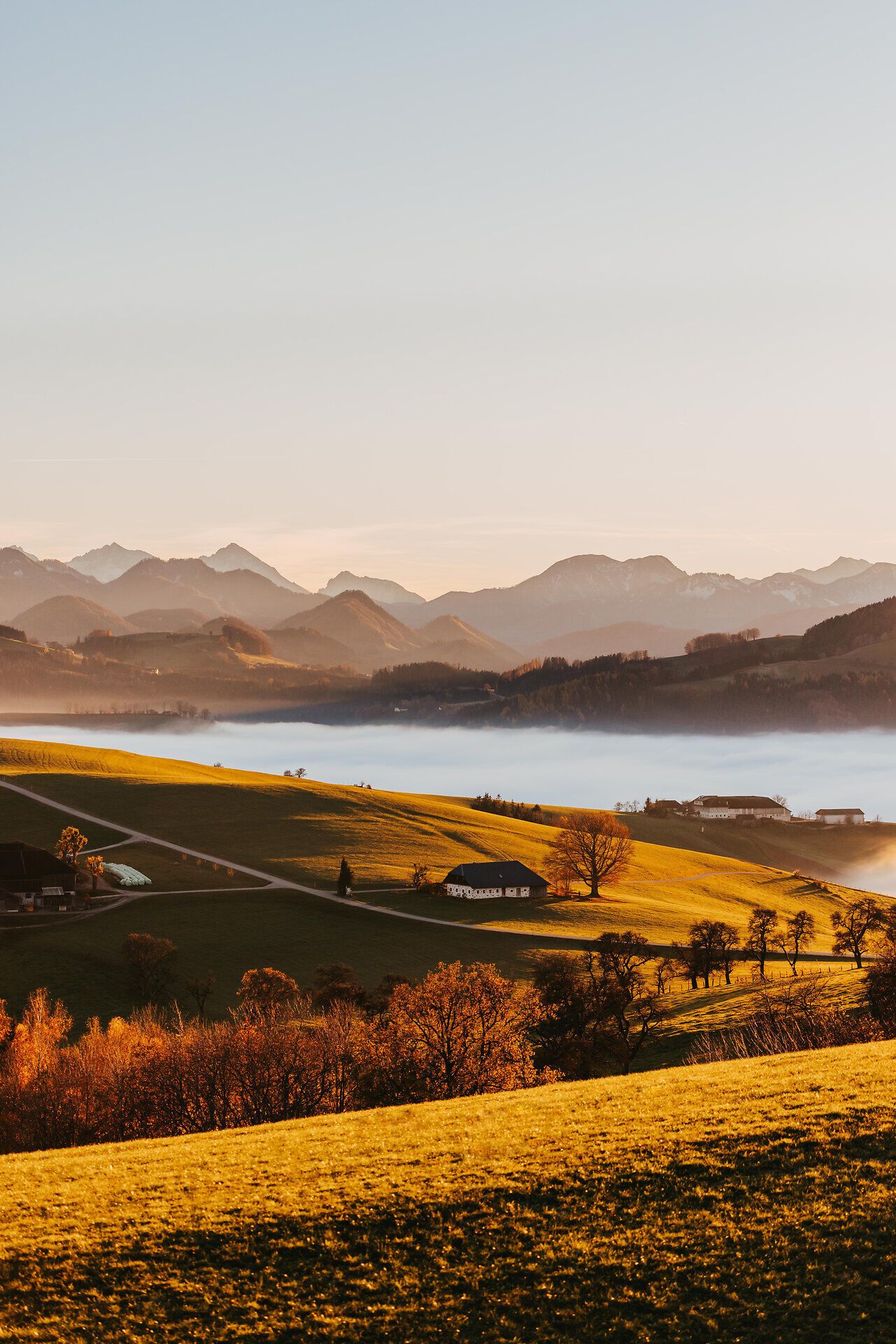 Die sanften Hügel des Mostviertels erstrahlen im warmen Licht des Herbstes, während die Nebel sanft über die Täler ziehen. Die goldenen Wiesen und die majestätischen Berge im Hintergrund laden zu einem unvergesslichen Ausblick ein, der die Seele berührt.