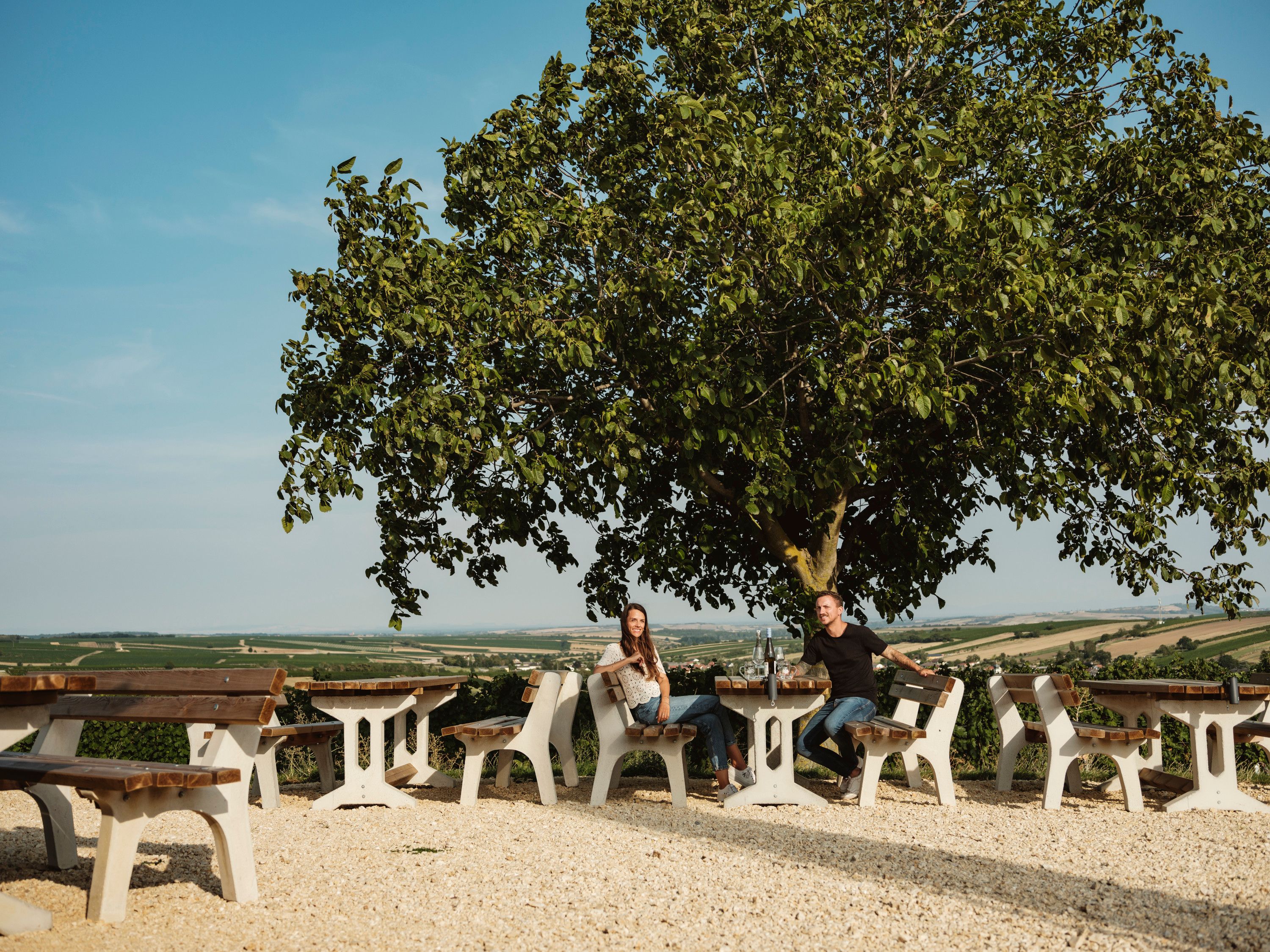 Zwei Personen sitzen an einem Tisch unter einem Baum mit Blick auf eine weite Landschaft.