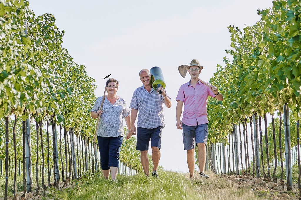 Drei Personen gehen durch einen Weinberg, tragen Werkzeuge und lächeln.