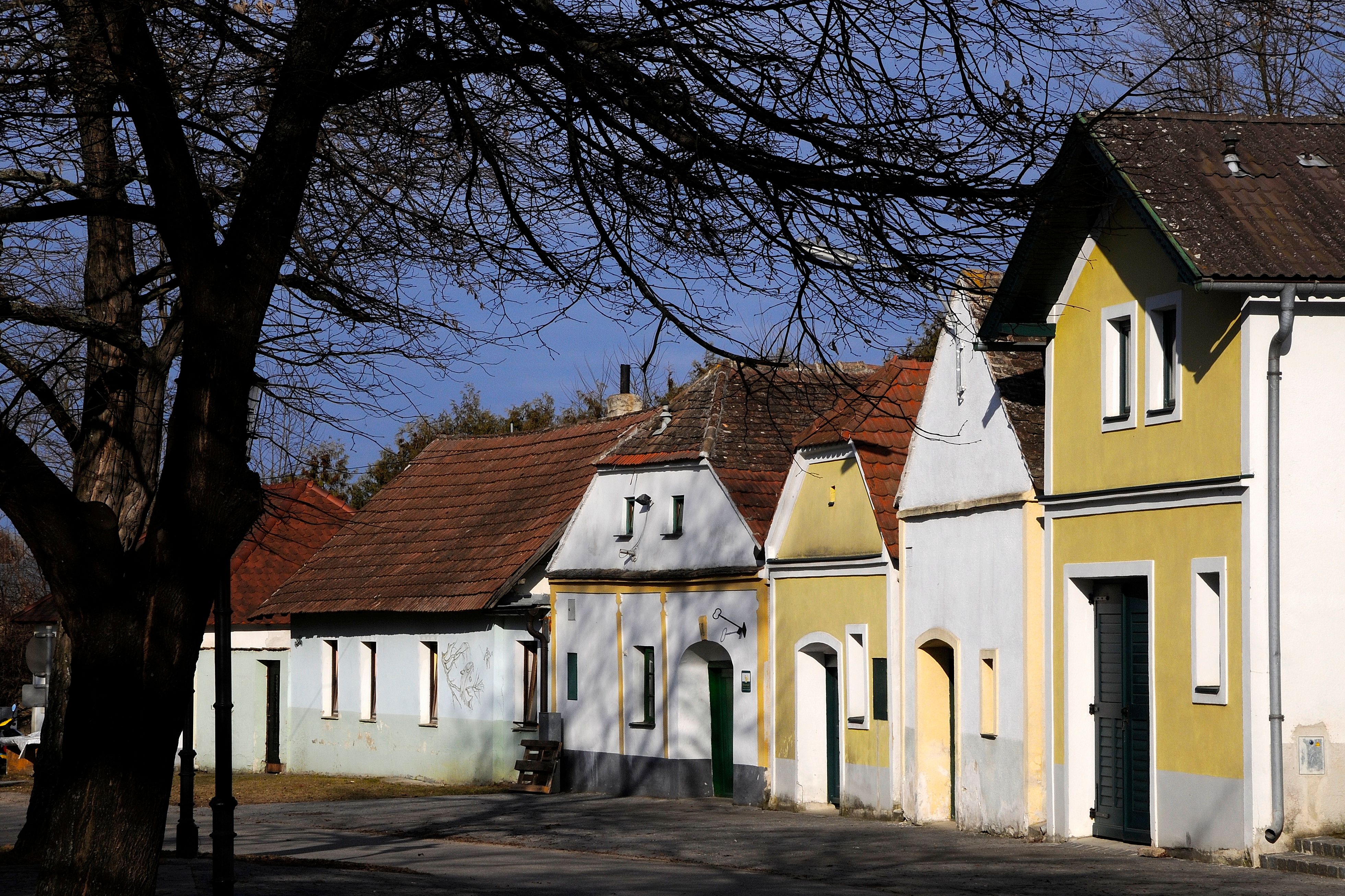 Eine Reihe traditioneller Weinkeller in der Kellergasse Nappersdorf, umgeben von kahlen Bäumen und blauem Himmel.