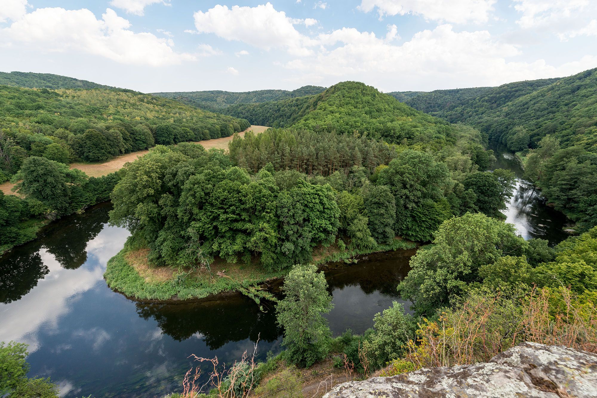 Panoramablick auf den Nationalpark Thayatal mit Fluss und bewaldeten Hügeln.