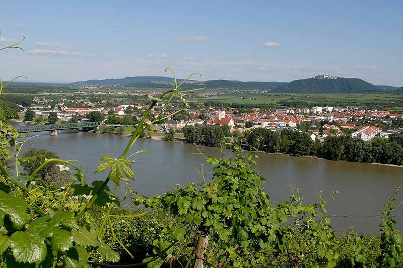 Blick vom Pfaffenberg auf Mautern mit Fluss und Weinreben im Vordergrund.