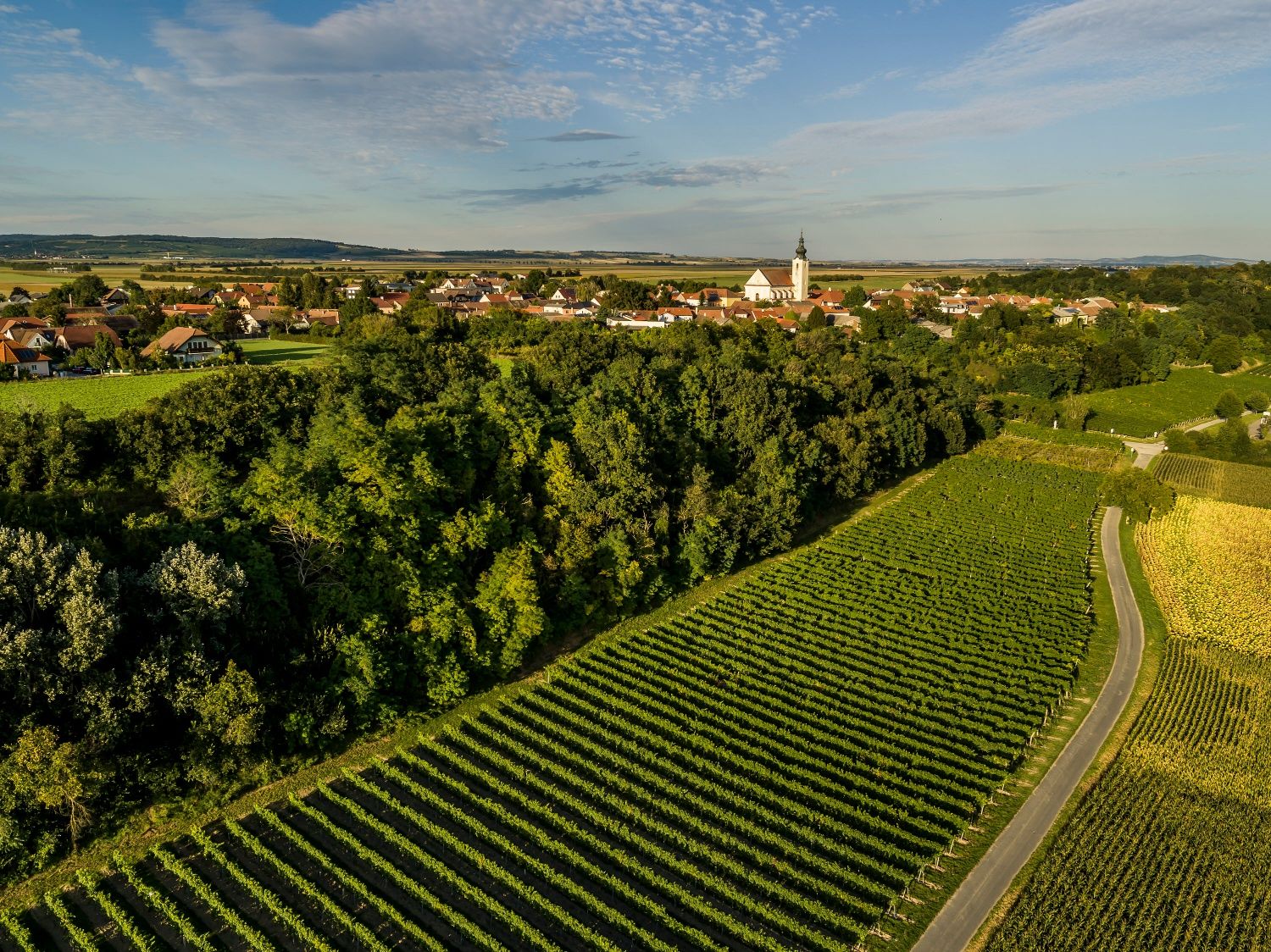 Luftaufnahme von Stetteldorf am Wagram mit Weinbergen im Vordergrund und einer Kirche im Hintergrund.