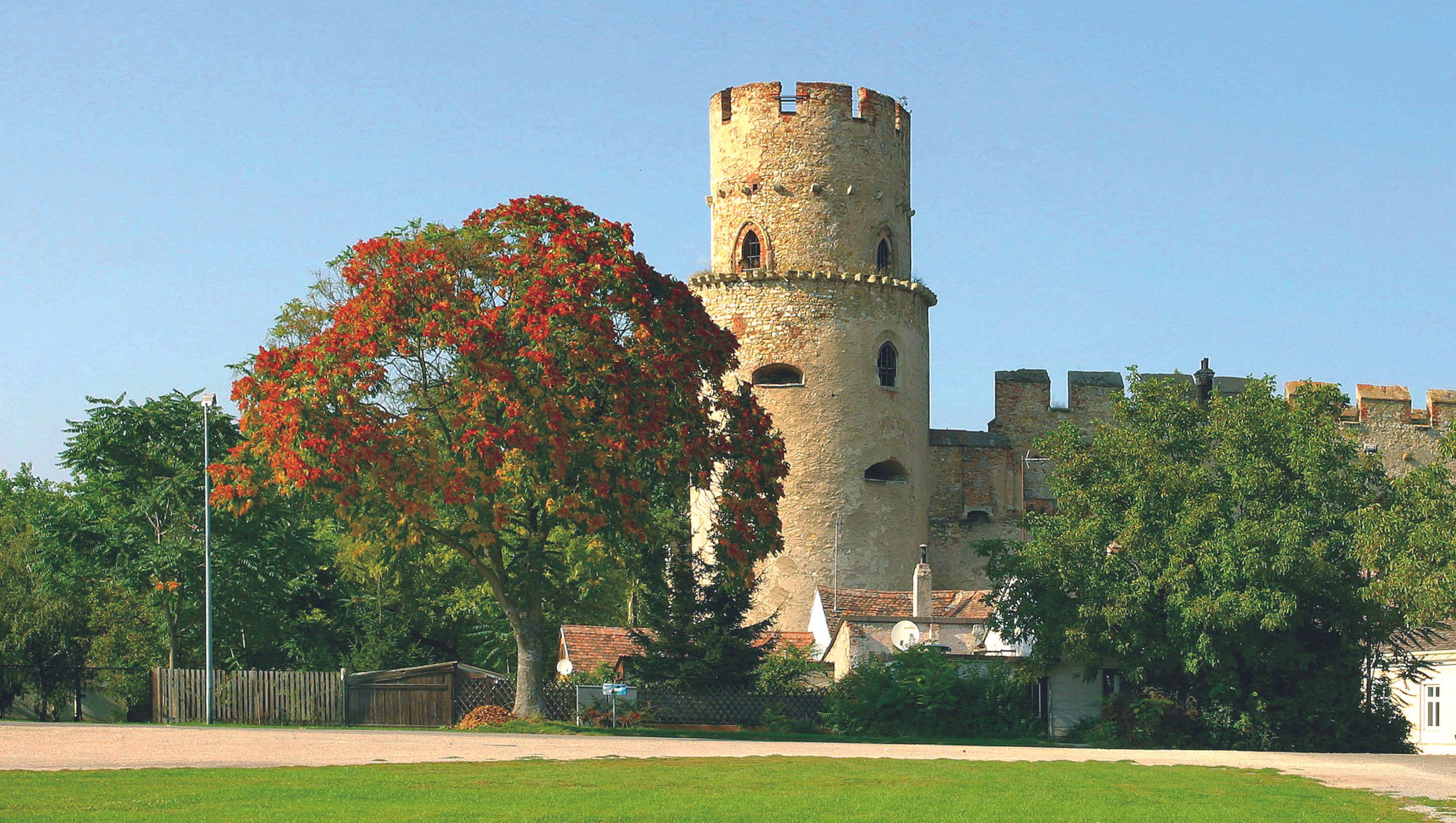 Ein mittelalterlicher Turm der Laaer Burg mit einem Baum im Vordergrund.