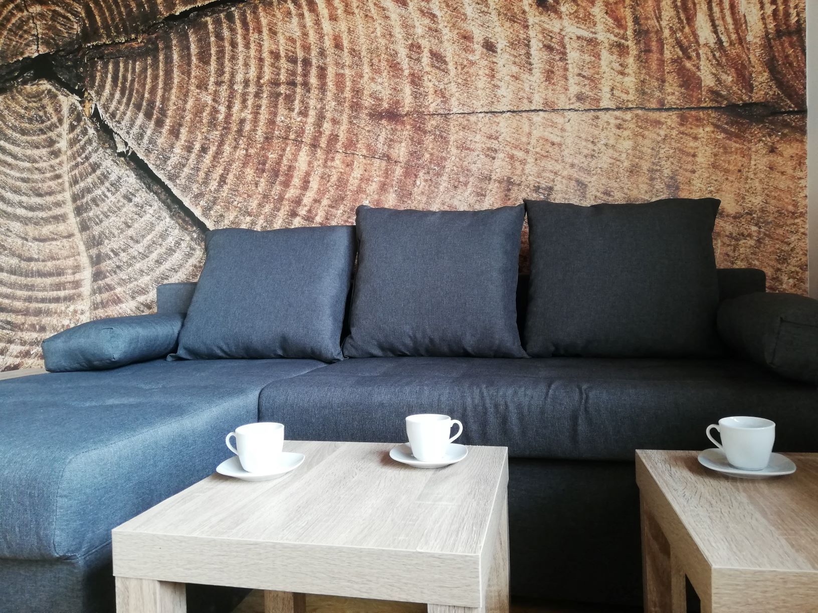 Wohnzimmer in Wohnung F