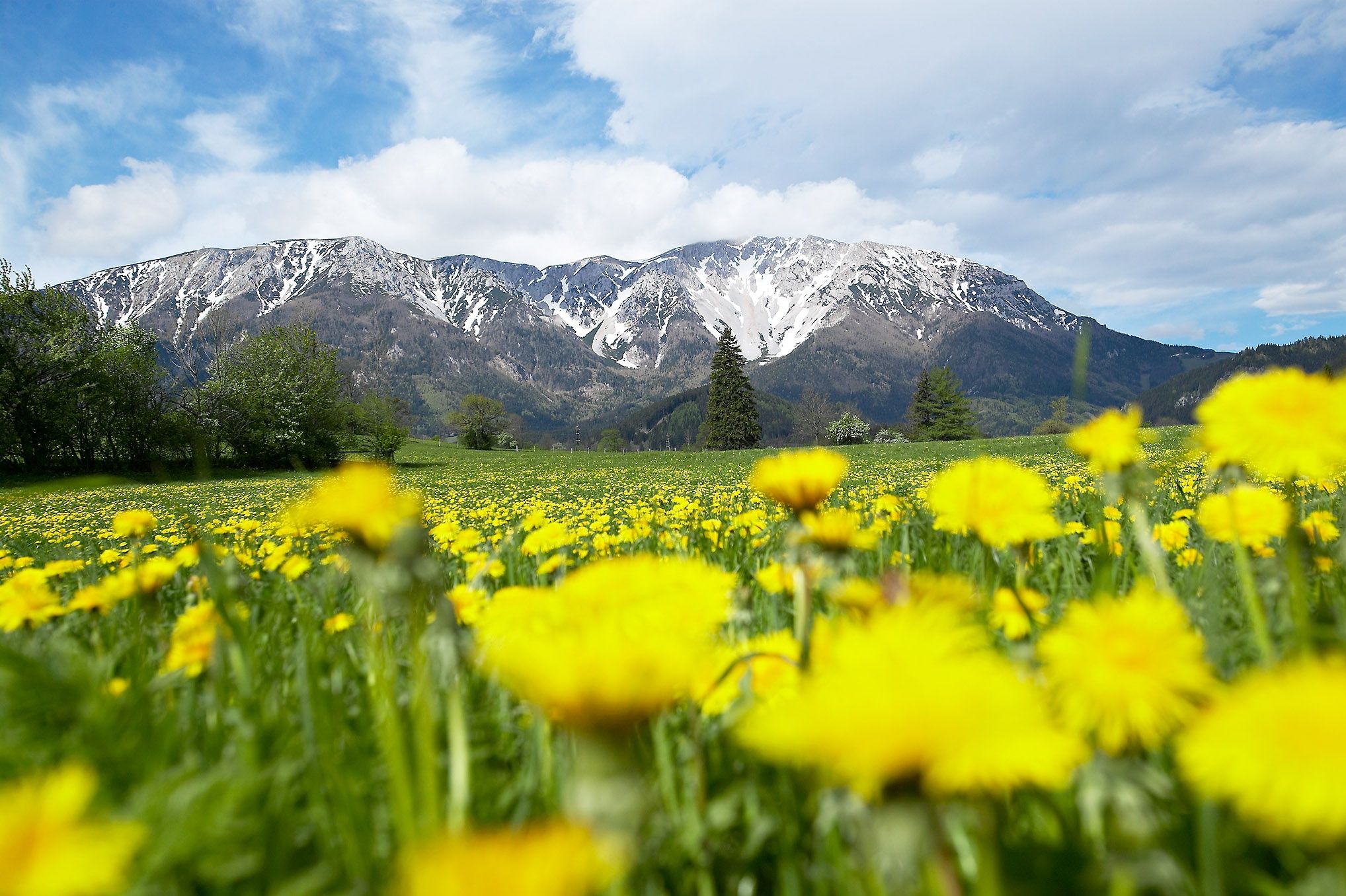 Blick auf den Schneeberg