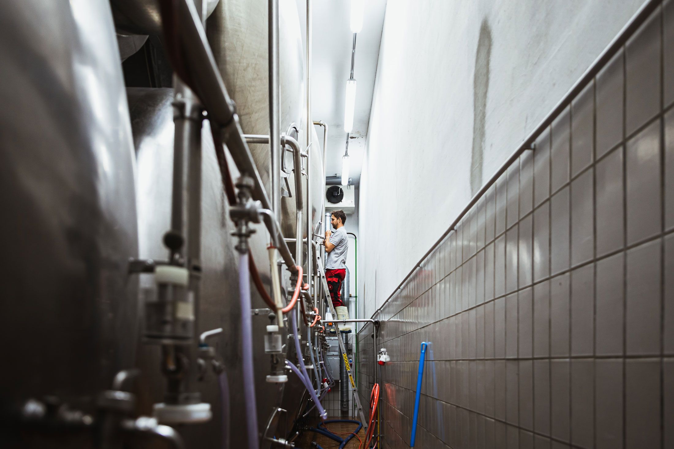 Ein Mann arbeitet an einem Braukessel in einer Brauerei.