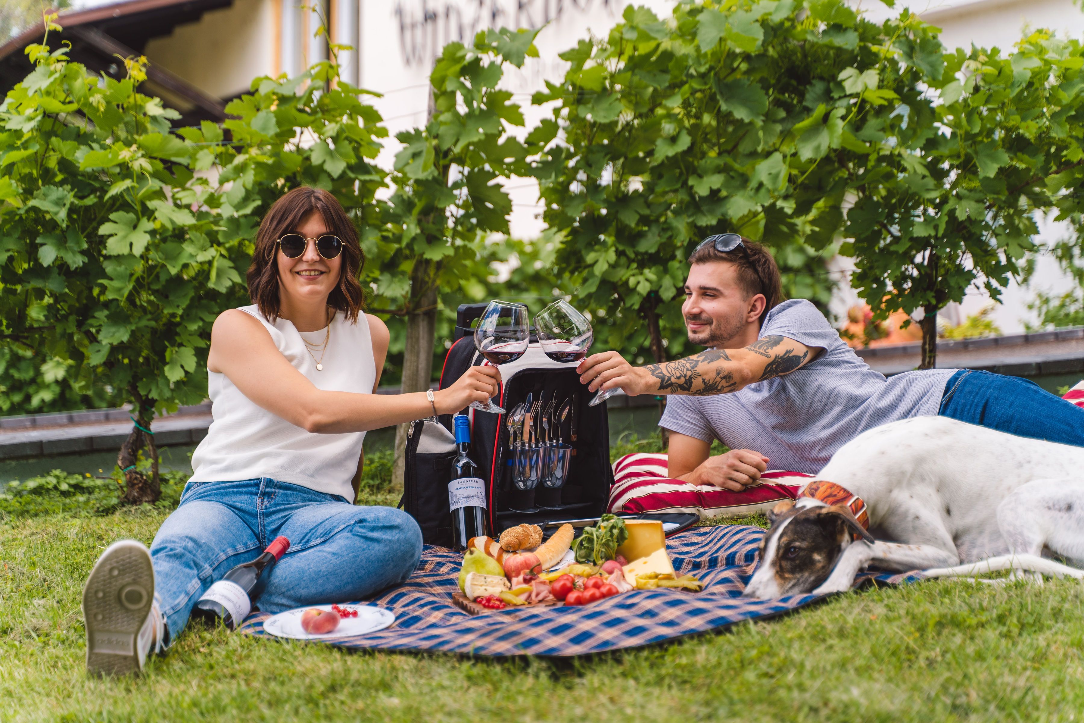 Picknick Time