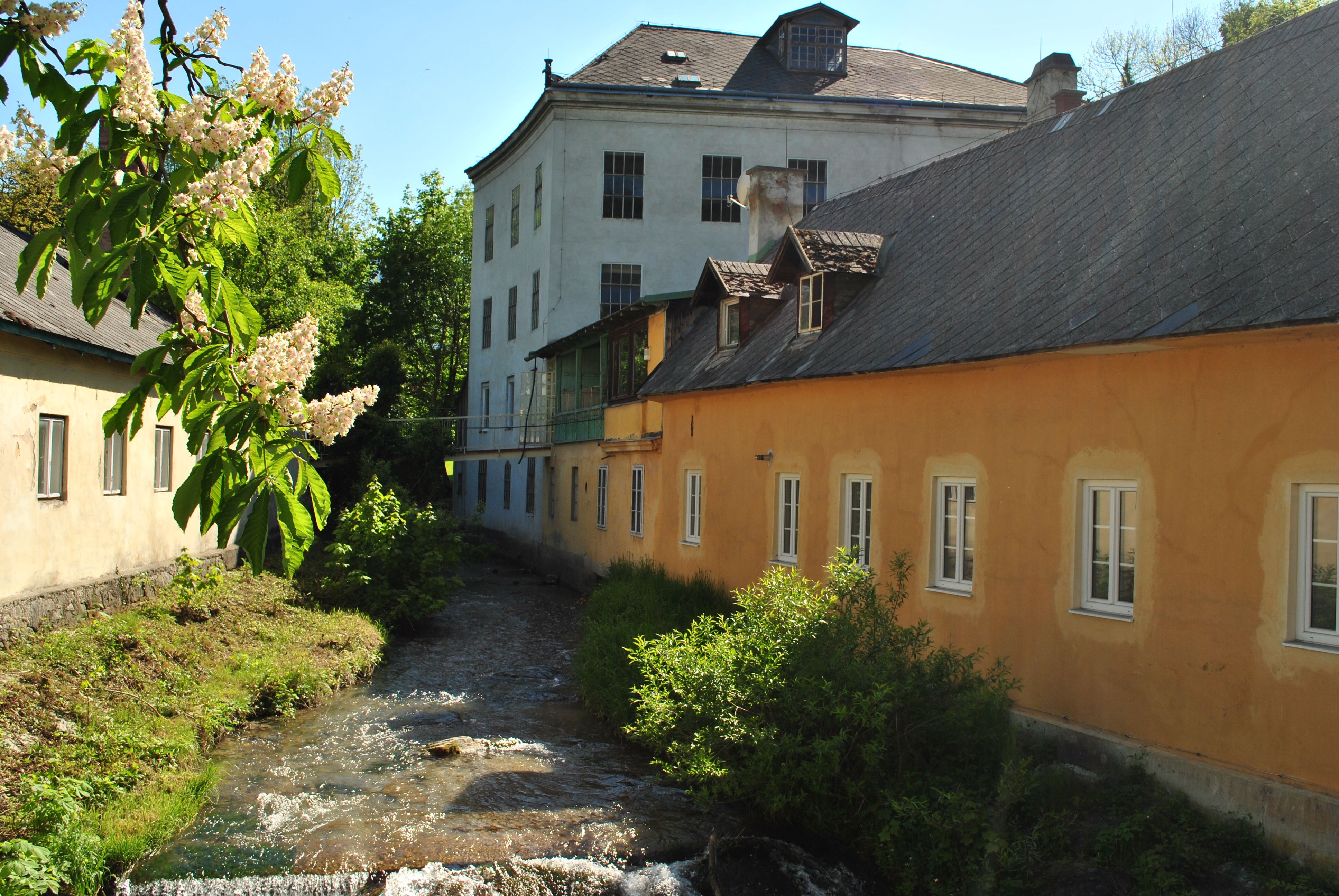 Historisches Gebäude mit Bach und blühendem Baum im Vordergrund.