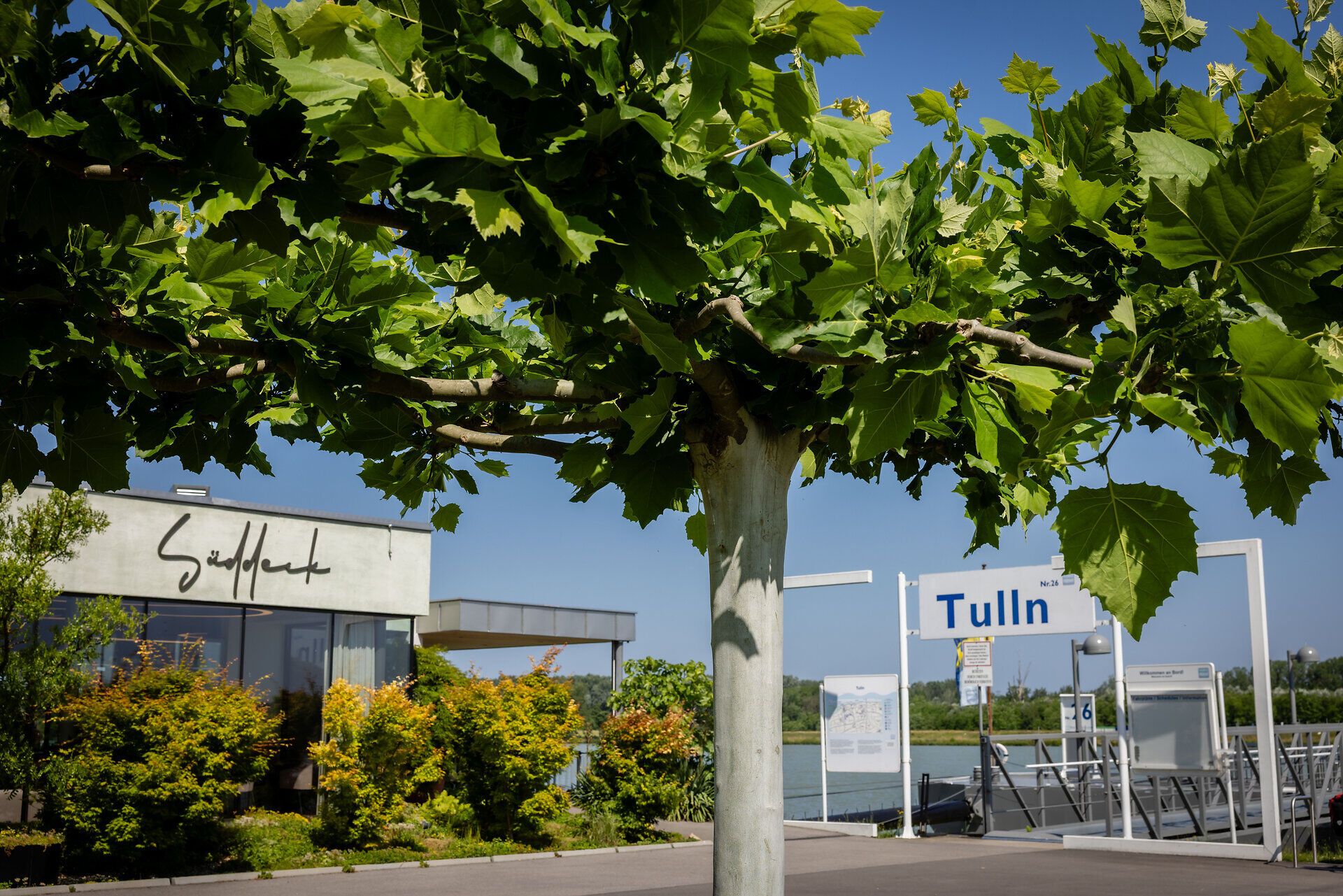 Süddeck, Restaurant direkt an der Donau liegend mit viel grünen Büschen umrahmt. Daneben die Schiffsanlegestelle und ein großer Baum davor