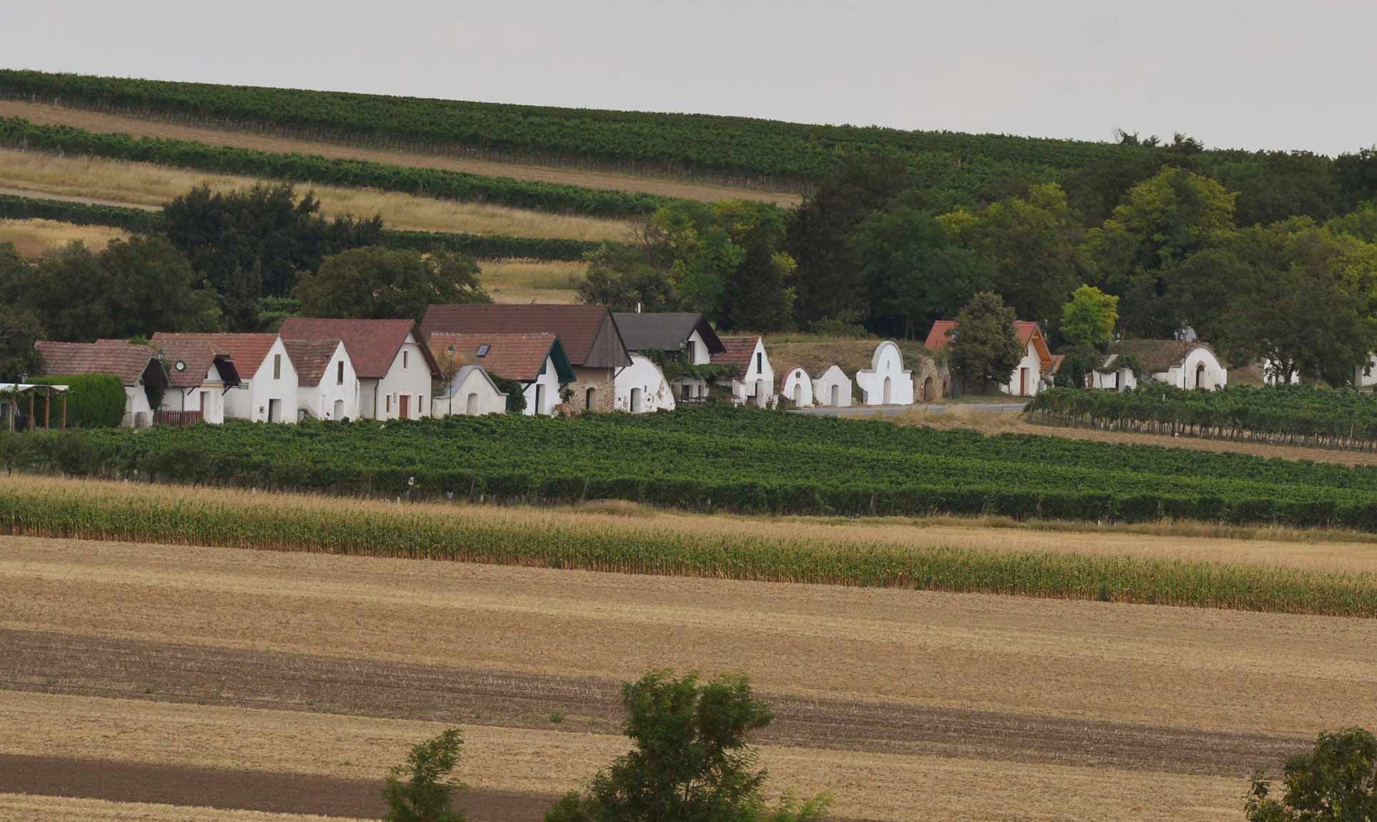 Kellergasse Prellenkirchen, Römerland Carnuntum